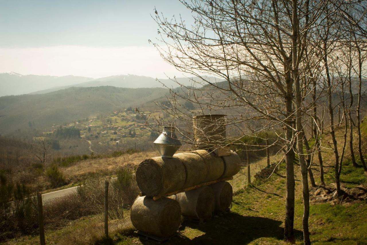 B&B Vista Casentino Pratovecchio Bagian luar foto