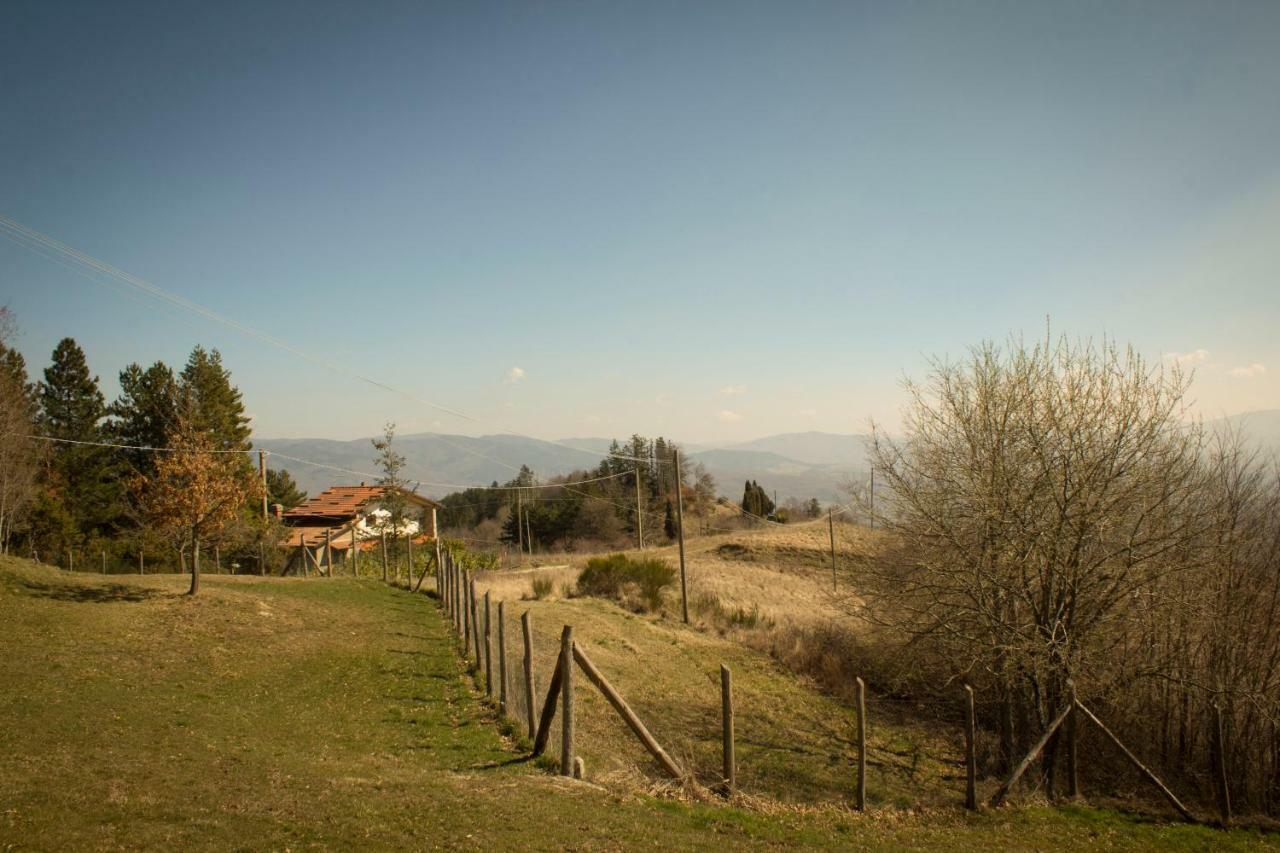 B&B Vista Casentino Pratovecchio Bagian luar foto