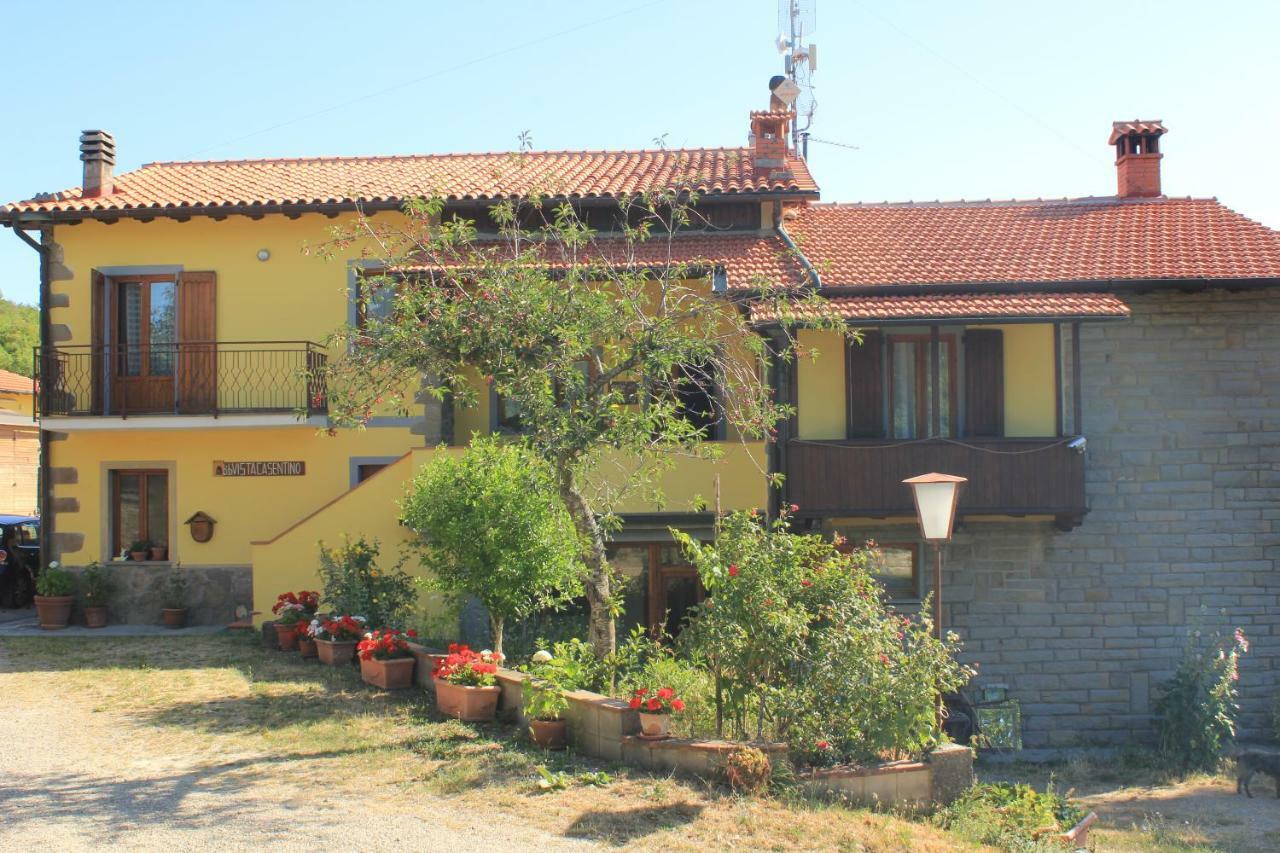 B&B Vista Casentino Pratovecchio Bagian luar foto