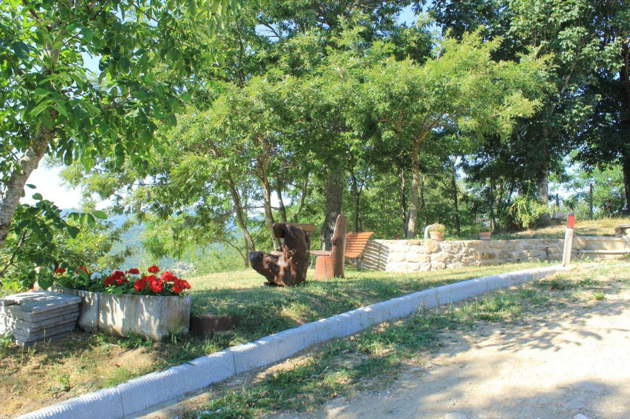 B&B Vista Casentino Pratovecchio Bagian luar foto