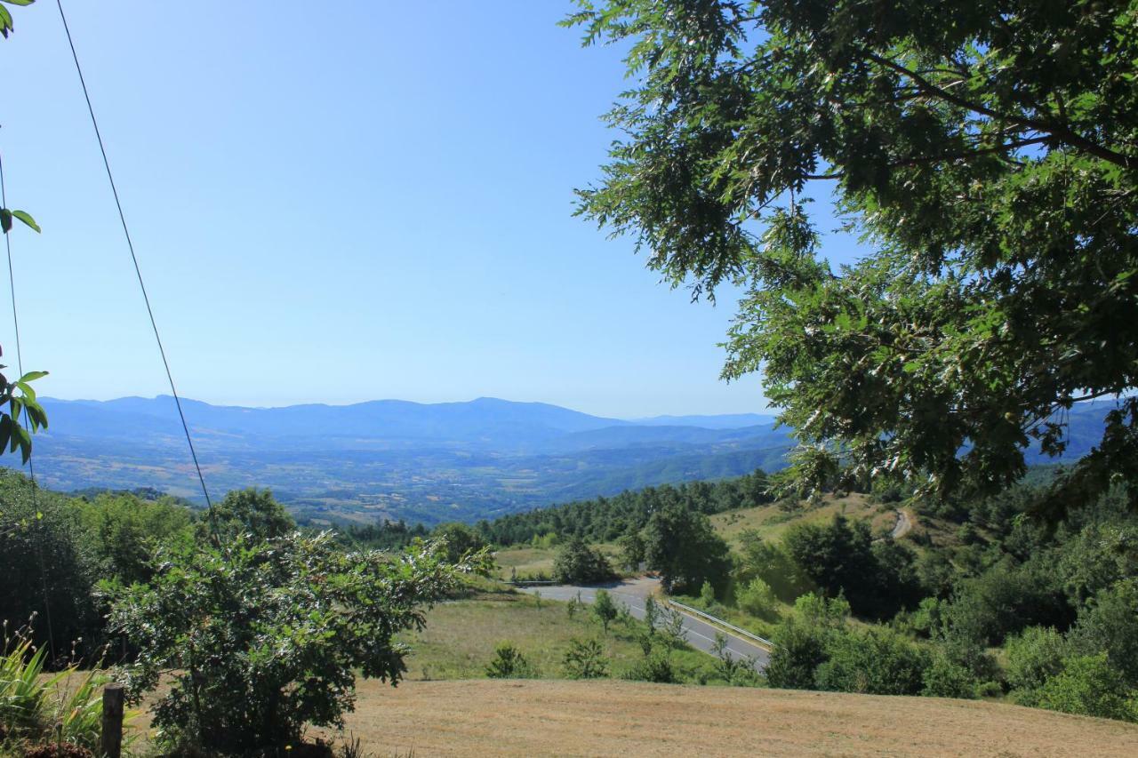 B&B Vista Casentino Pratovecchio Bagian luar foto